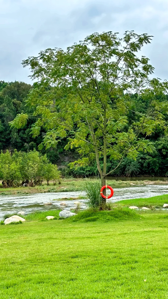 速冲！到这里get明星同款秋日大片！
