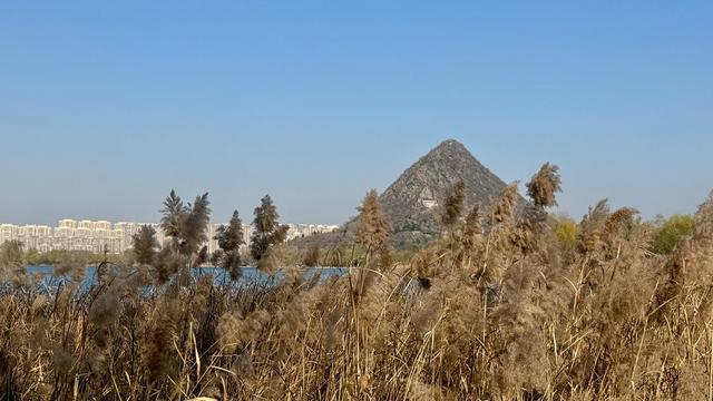 新视界｜济南：“大雪”华山美 游客乐游园