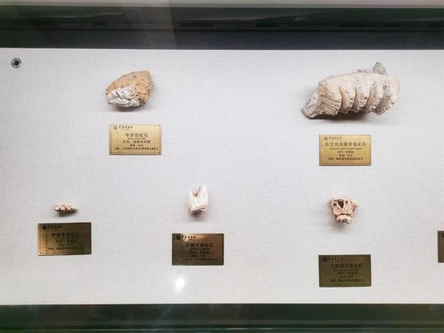 这里，凭什么是中国乡村发展的缩影？从电视剧《乌蒙深处》热播看毕节发展之变