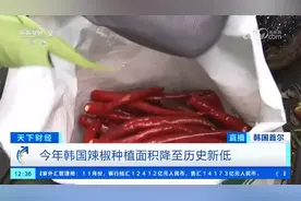 品质好、价格划算，中国产辣椒粉在韩国受青睐！市场占比约40%→图片