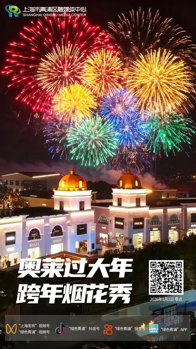 让烟花替我给你说“新年快乐”（附观赏入口）