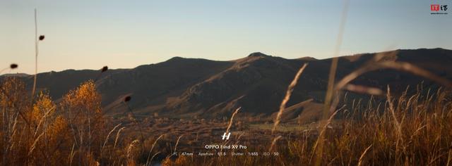 哈苏能拍 live？OPPO Find X9 系列「大师模式 Live」样张分享