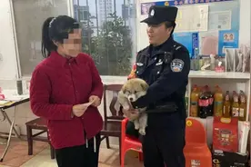 爱犬“旺旺”丢失，湖北枣阳民警帮助寻回图片