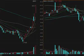 机构密集调研算力概念股！龙头四连板，近两个月接待量居前热门股名单来了图片
