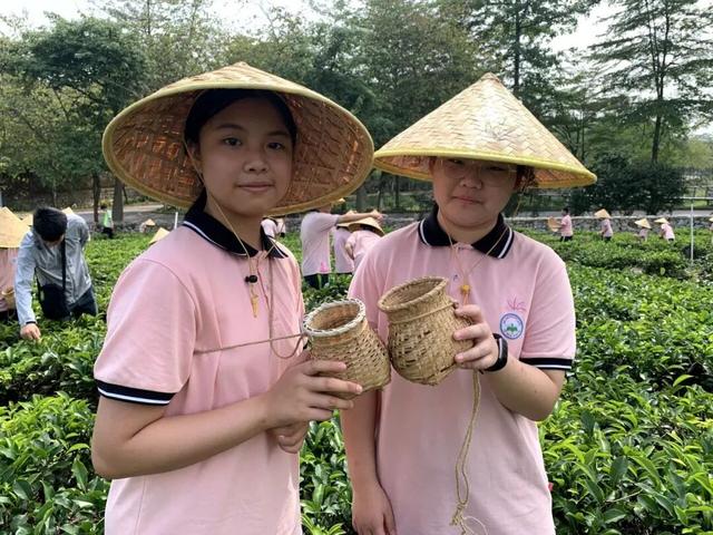 秋假出发！高明6大研学路线出炉，速速来查收