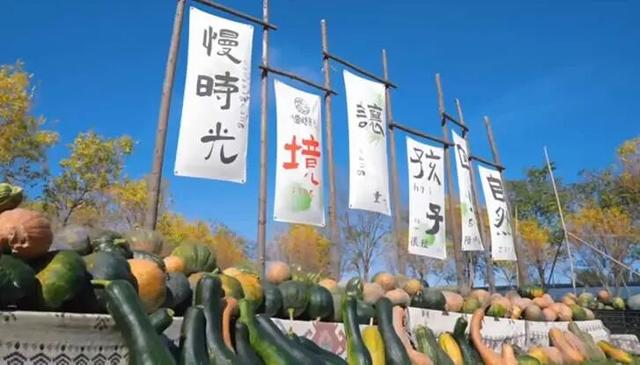 秋实累累|来运河田园，为亲子时光添上一抹丰收意趣