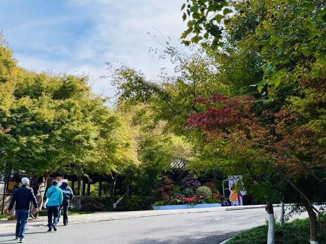 今日浓度15%！（附实用信息）