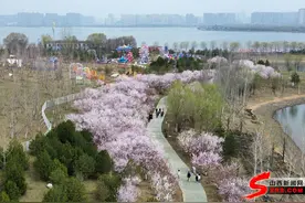 晋阳湖畔桃花开 纷飞烂漫惹人醉图片