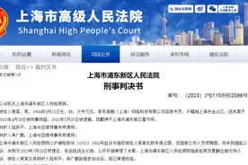 受贿、职务侵占！李佳琦所属公司被曝选品流程贪腐图片