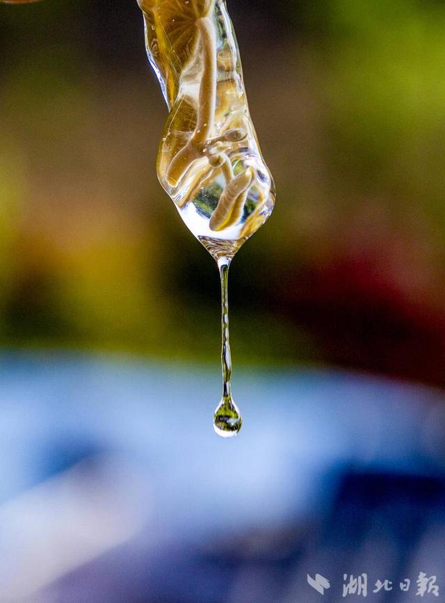 组图|圣水天池佛宝山