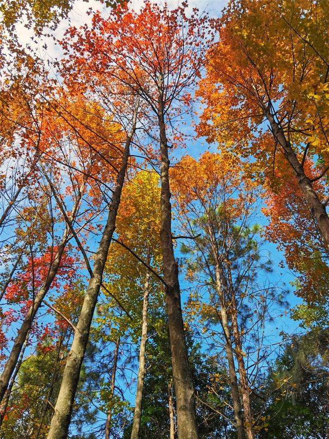 别眨眼，接下来的新干是这样的→