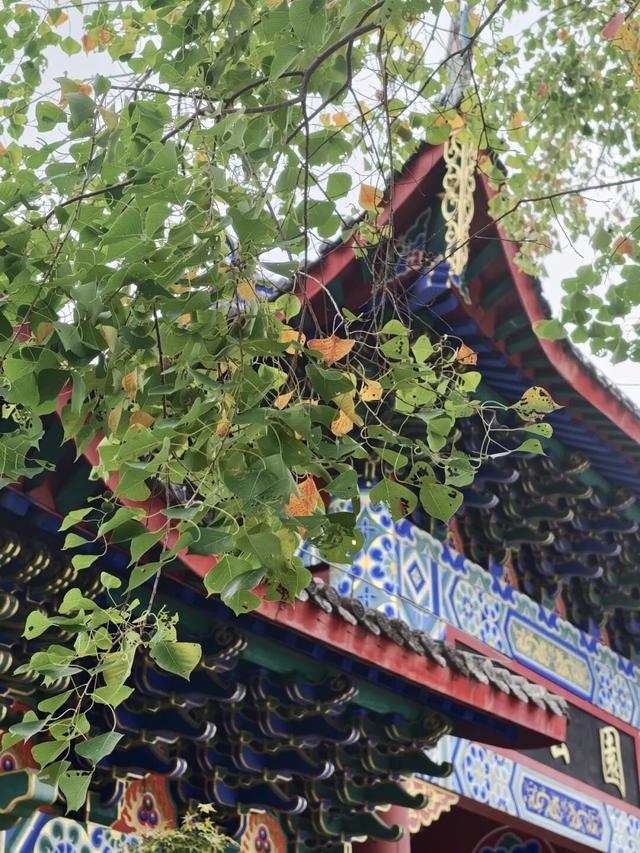 听说，福州人最近都在台江“捡”这些