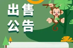 一公园欲出售20只猕猴 园方：须有资质，个人不能购买图片