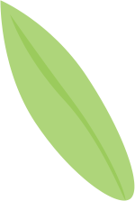 是时候再去一趟渤公岛了！