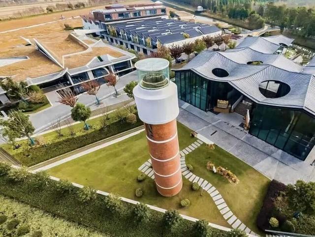 热搜！寒潮收尾！周末最高21℃！来光明东滩源、黄山茶林场兜兜…最低2折特惠！太值了！