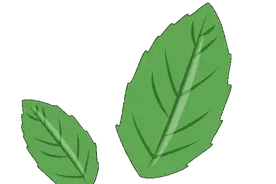 【飞花令】“飞絮”濛濛是晚春『明月几时有』（233）图片