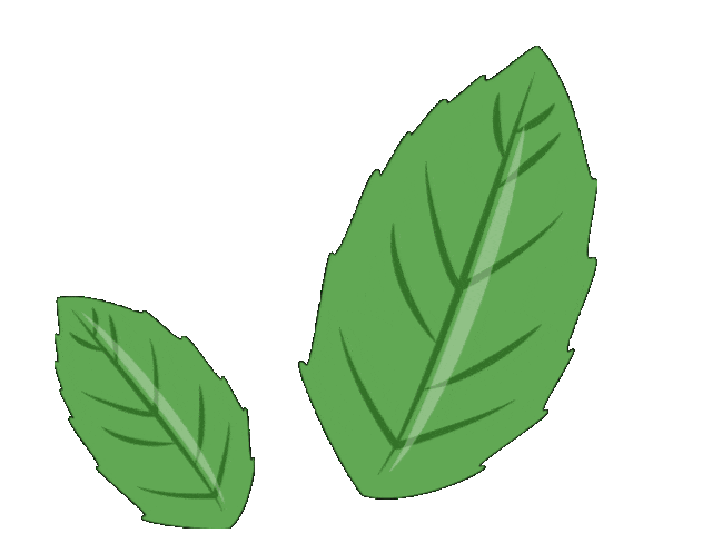 12月机票¥200起，秋冬游出行别错过！