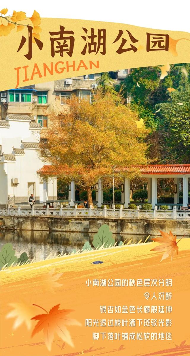 在江汉，听见公园里的秋色私语