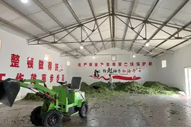 浉河区推广大宗茶让企业茶农双增收 “多链模式”带来发展新机遇图片