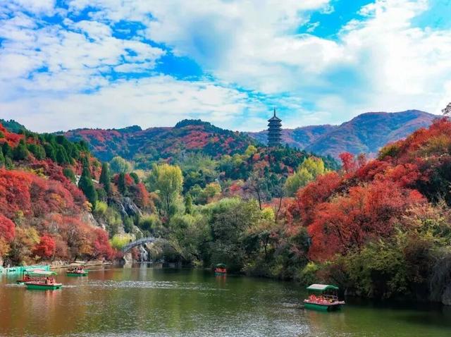 从云端到山野，济南这两地入选省级案例！你打卡过吗？