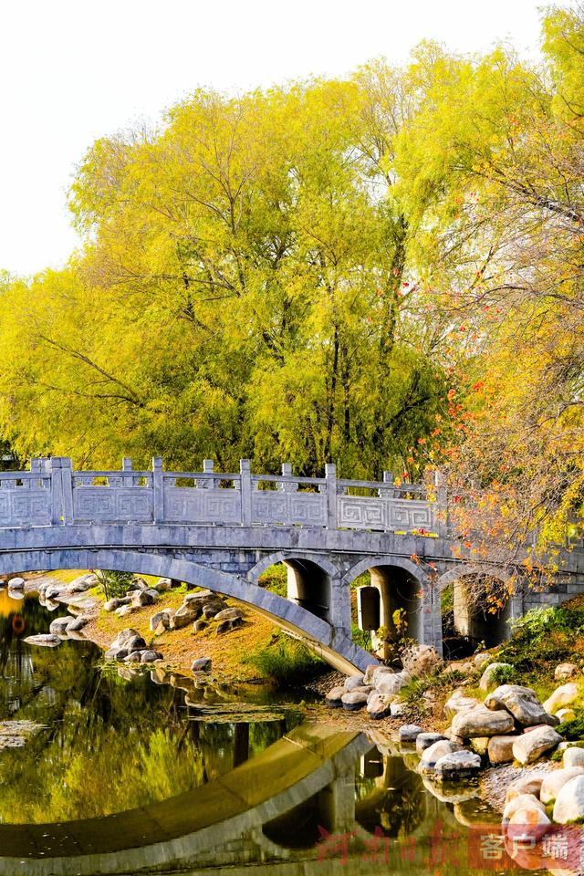 印象港区｜满目金黄，是秋写给冬的告白