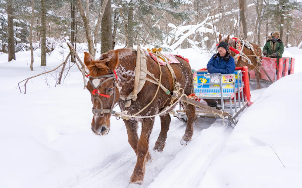 延边4地上榜全国百强！