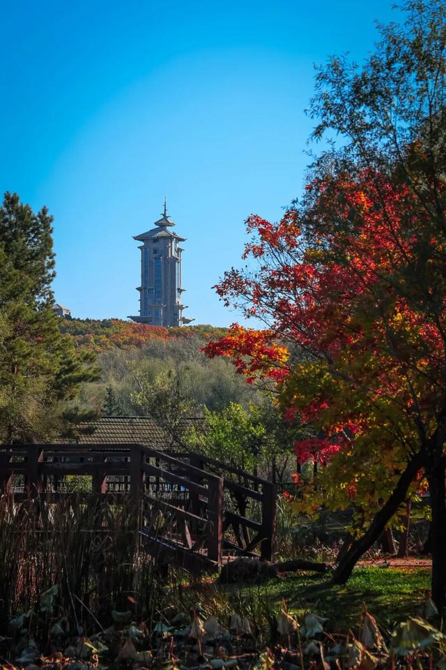 净月碧松塔楼明日起暂停经营→