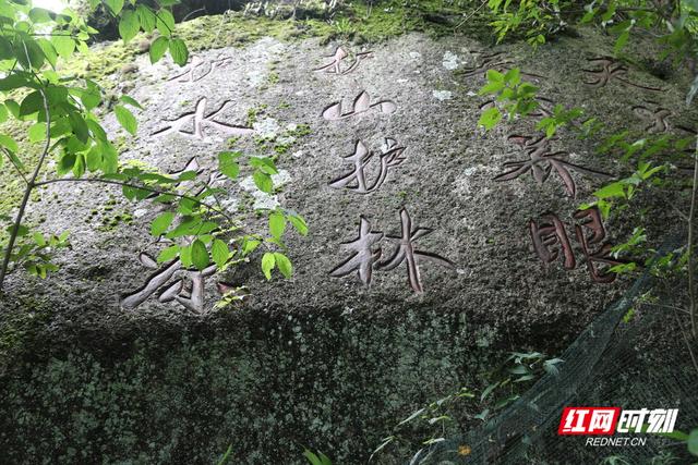 我住湘江边① | 蓝山天犬岭 一滴成势奔洞庭