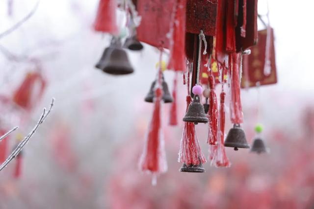 连云港下雪了！这件事要注意！