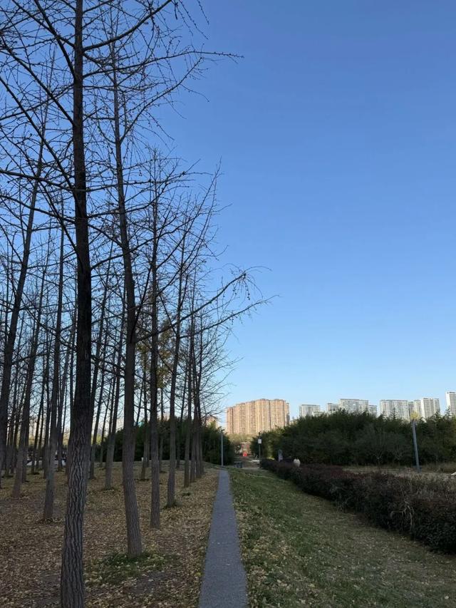 全部免费！西安4个冬日晒太阳好去处！