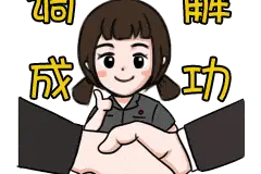 远程视频促高效，庭前调解化纠纷图片