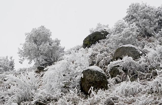 盘州:乌蒙大草原冰雪交融雾凇美