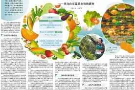 守护好百姓“菜篮子”图片