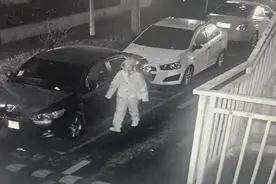 郑州一40岁女子连划路边14辆汽车，警方：行拘！图片