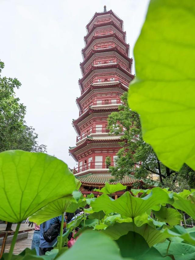 六榕寺旁这条368米小路，竟让苏轼“穿越”来打卡！