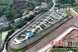 高县：鱼儿住进“深桶”里 乡村养鱼有“新招”图片
