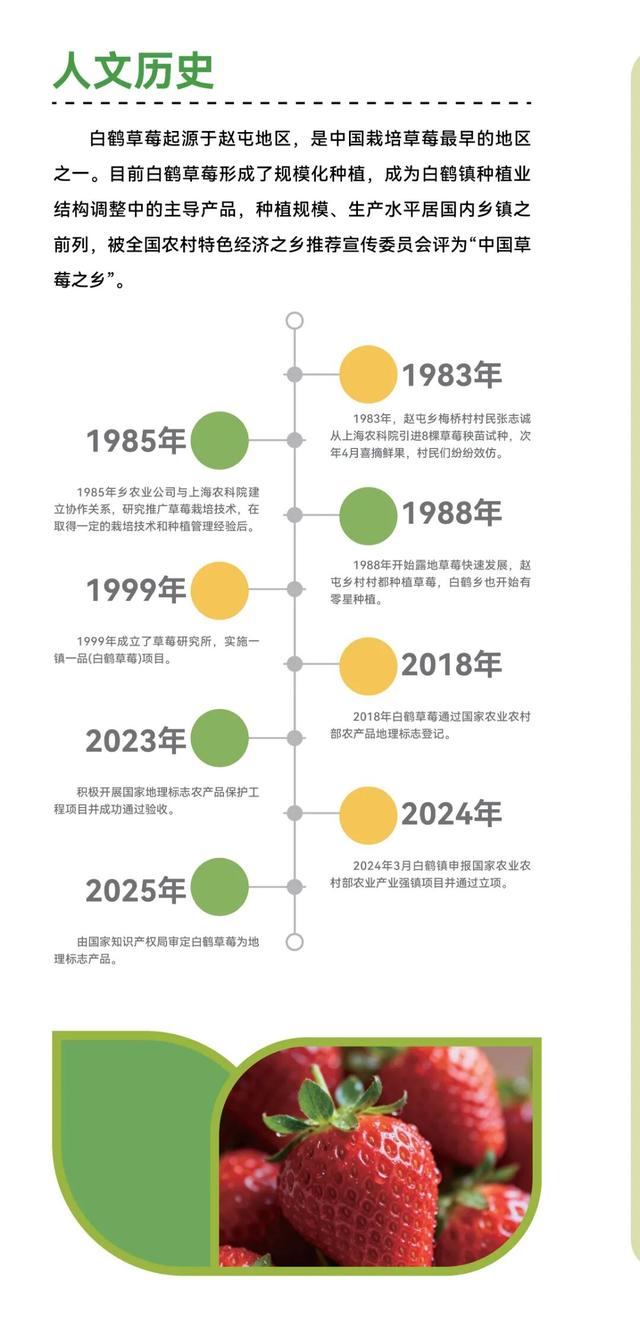 甜蜜上线！白鹤草莓购买攻略看这里→