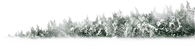 冬至丨水国过冬至 风光春已生