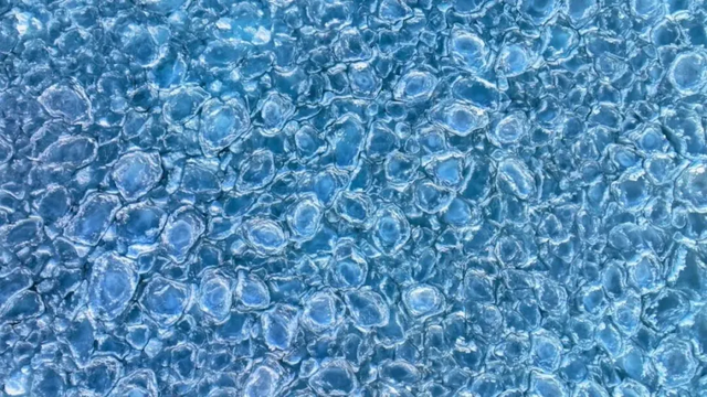 新知|半湖脂玉半湖蓝！赛里木湖冰雪秀浪漫上演