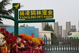 五一杨凌遛娃新地标｜探秘4万㎡萌宠科研乐园，60+神奇动物等你来撸图片