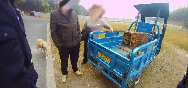 伤亡惨重！浙江两派蜜蜂打群架	，民警直接上门劝架