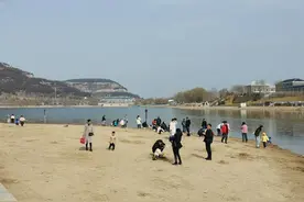 在水一方之——在扎根的水中蓄势（散文）图片