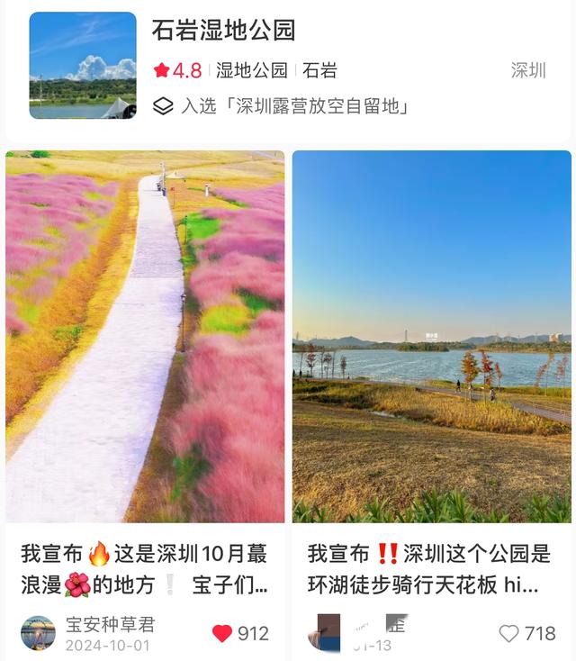 我的宝藏城区：宝安十一假期打卡不完全攻略