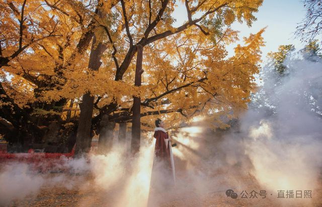 低调了千年！是时候重新认识一下莒县了！