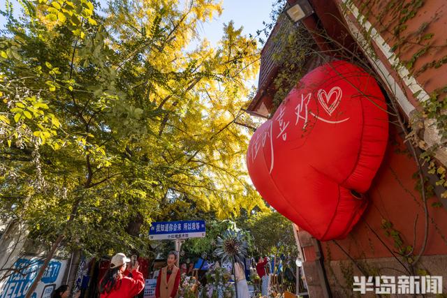 青岛深秋处处“鎏金”，美不胜收！