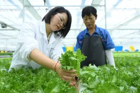 每日一词|多元化食物供给体系 diversified food supply system图片