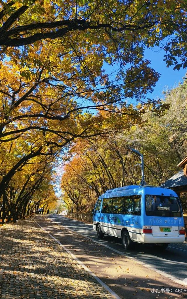 一半秋色在净月潭 另一半在你的镜头里→