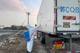 4800尾，7.2万美元！首批“淡水虾王”罗氏沼虾种虾抵达湖州图片