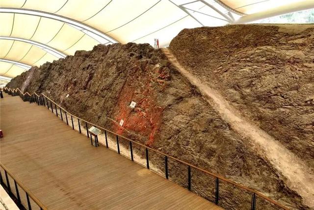 @巫溪球迷，去云阳看球赛，免费游景区!