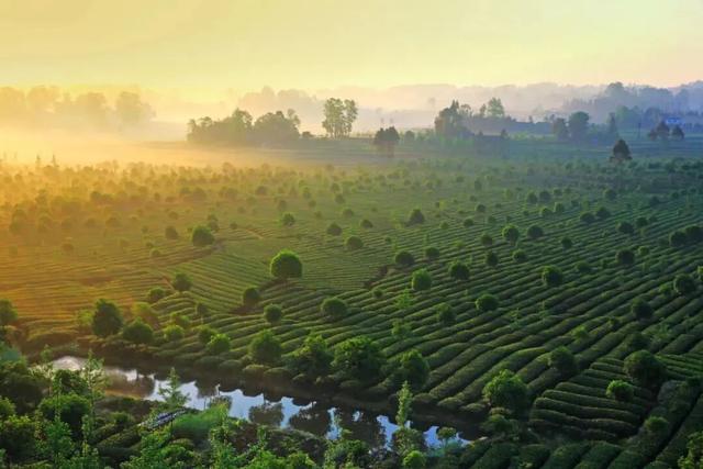 全川“秋假”看名山！这份“亲子游”全攻略，承包你的诗与远方！